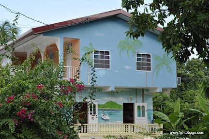 Fish Tobago Guesthouse