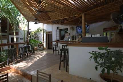 The Slow Leopard Hostel