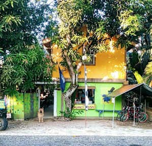 The Funky Dodo Backpackers Hostel