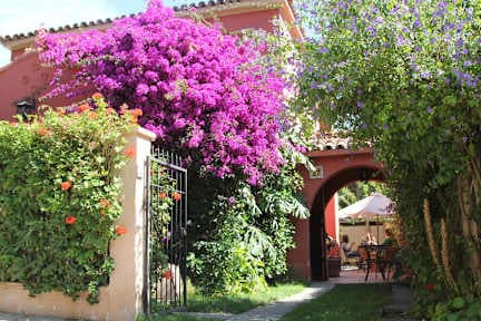 Hostal El Arbol
