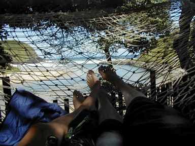 Coffee Shack Adventure Backpackers & Accommodation